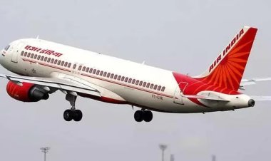 Air India Pilot's Licence Suspended and Airline Fined for Cockpit Incident