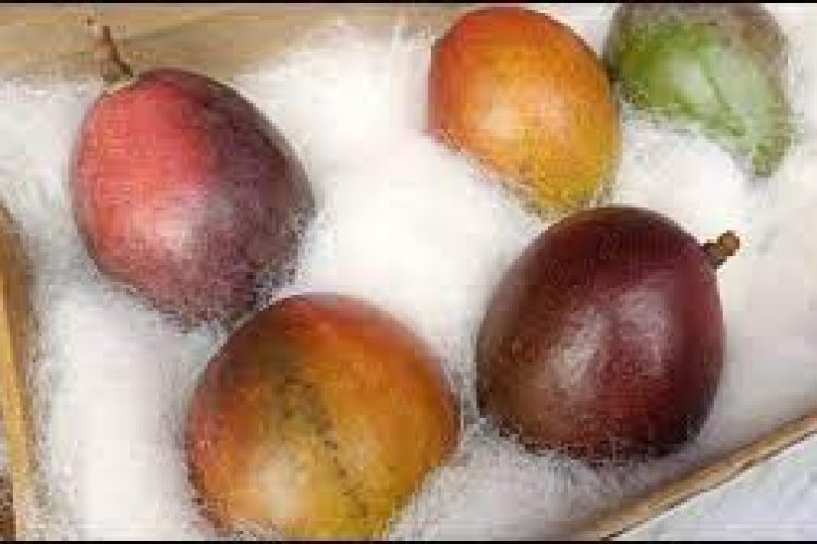 This is the world's most expensive mango, the price is so much that a new car can come home!