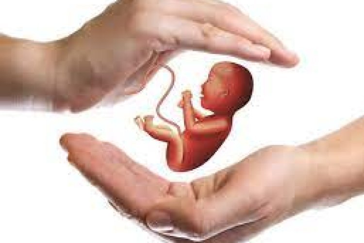 Human synthetic embryo created from stem cells without egg and sperm