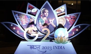 G20 Summit: The world will see India's 'digital power'. Ask Gita will answer every question