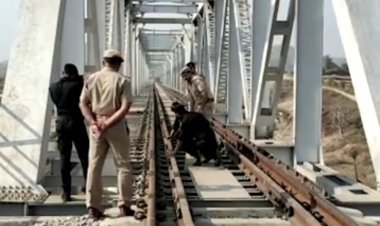 उदयपुर अहमदाबाद रेल मार्ग पर स्थित रेल पुल ब्लास्ट में आतंकी कनेक्शन की जांच: NIA के बाद NSG, IB टीम भी उदयपुर पहुंची,